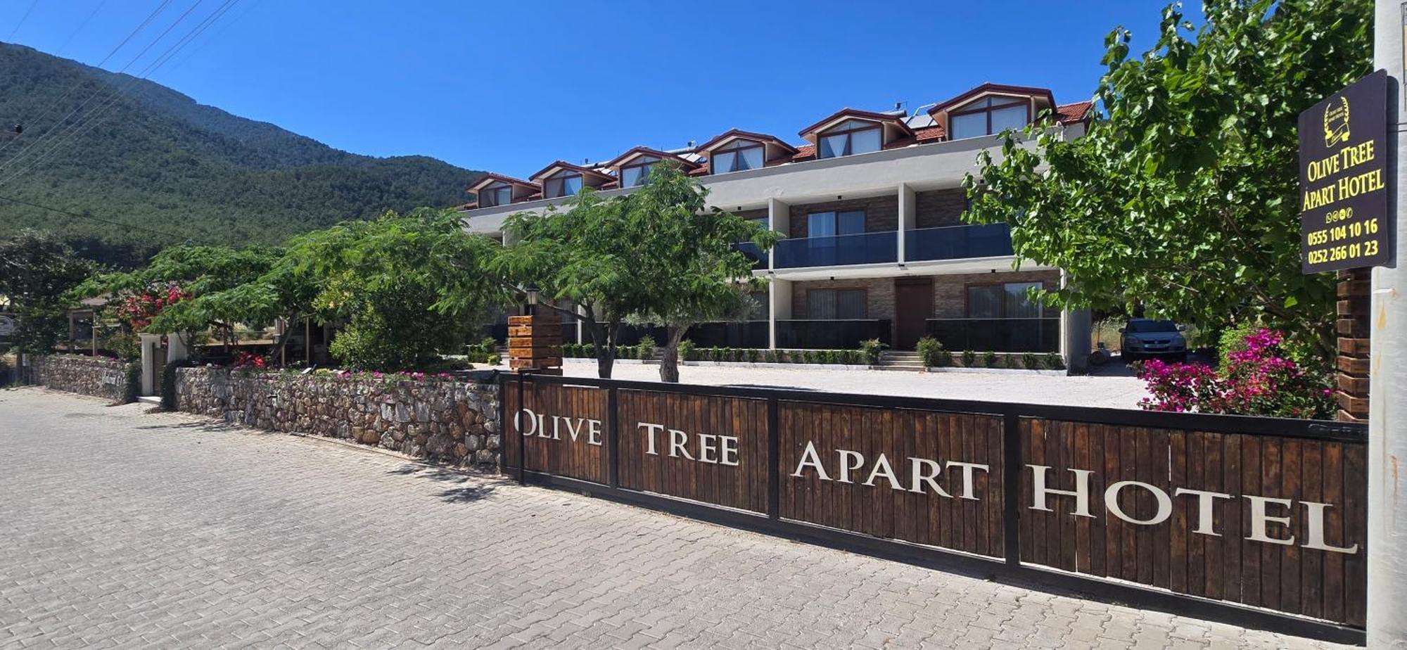 Olive Tree * Muğla